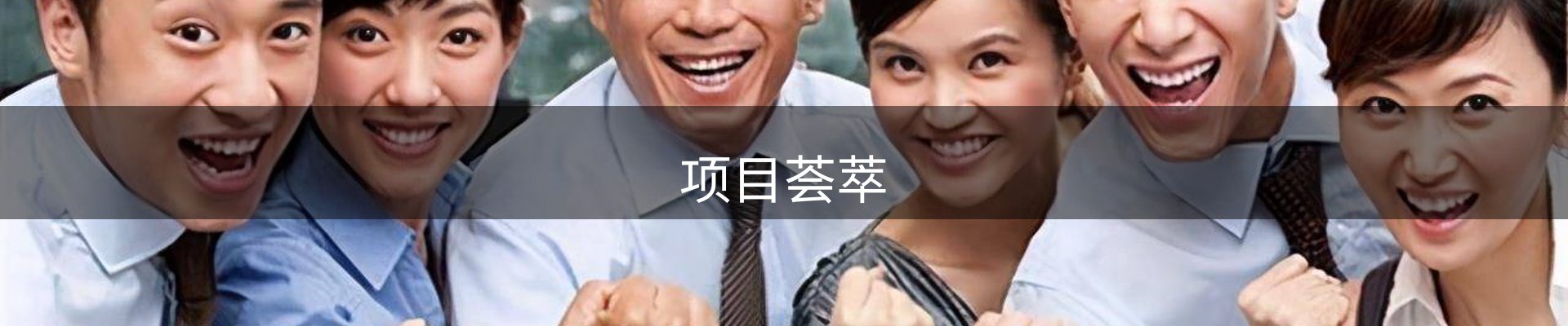 项目荟萃